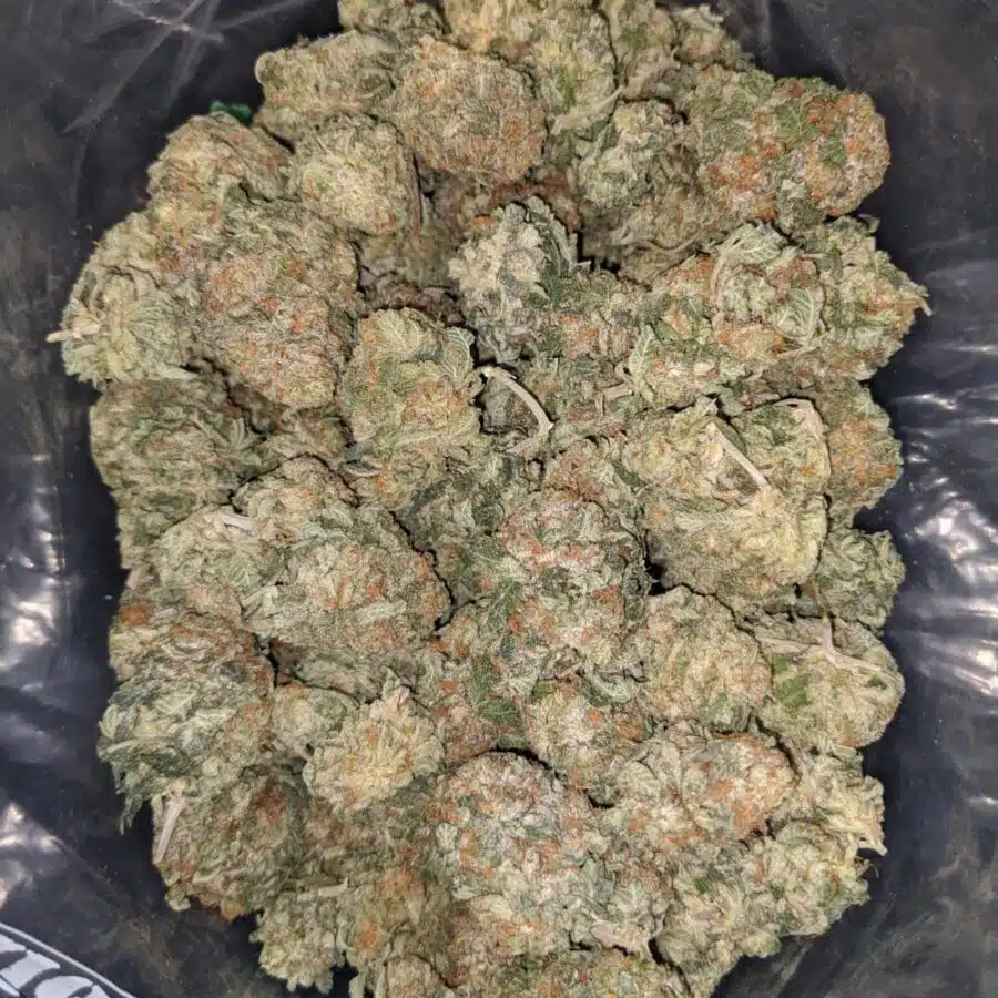 afghani bullrider 1 1 I $ 75 Oz - Afghani Bullrider