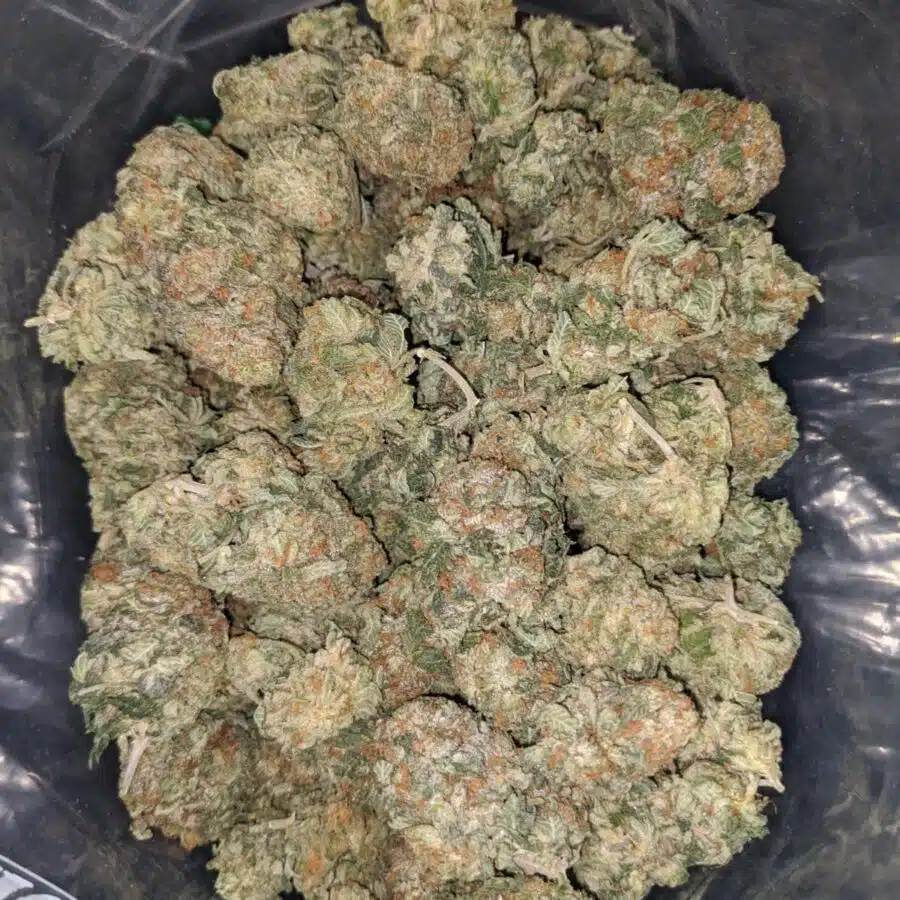 afghani bullrider 2 1 I $ 75 Oz - Afghani Bullrider