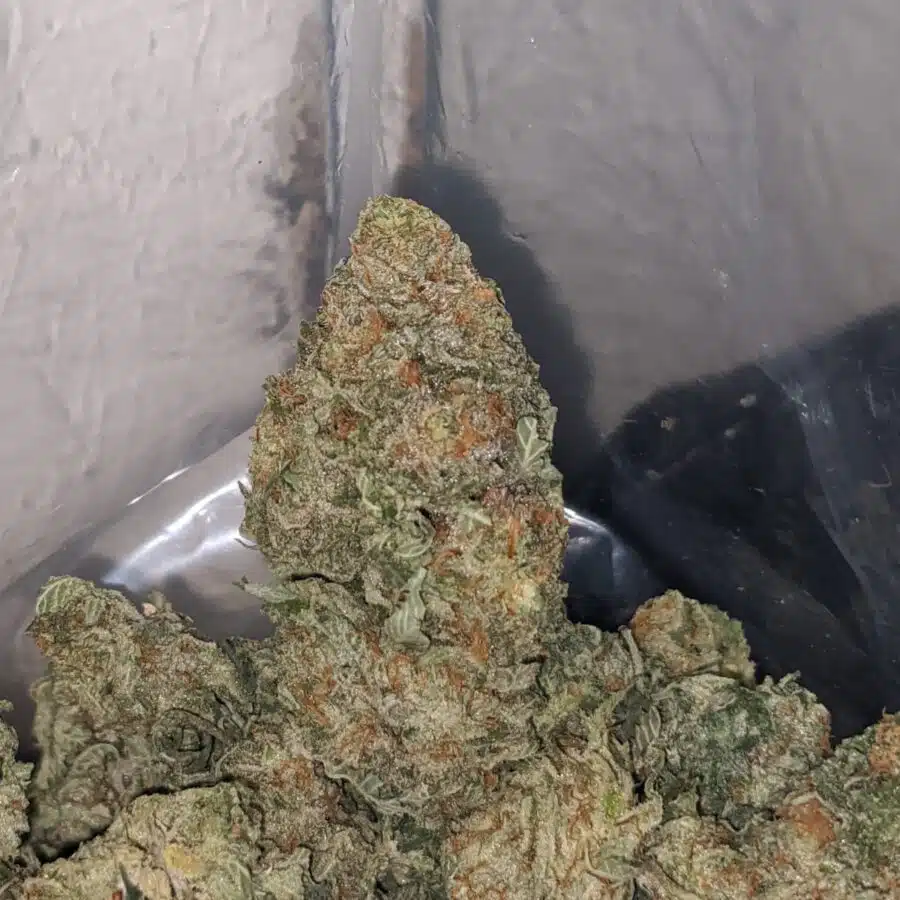 afghani bullrider 3 1 I $ 75 Oz - Afghani Bullrider