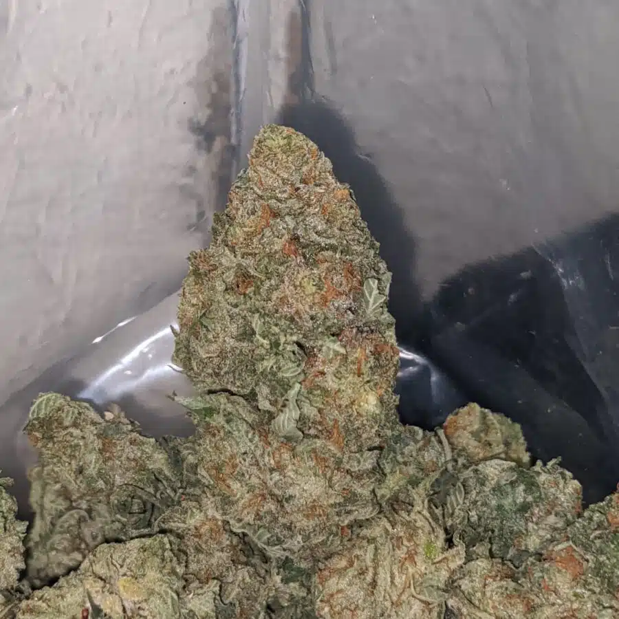 afghani bullrider 4 1 I $ 75 Oz - Afghani Bullrider
