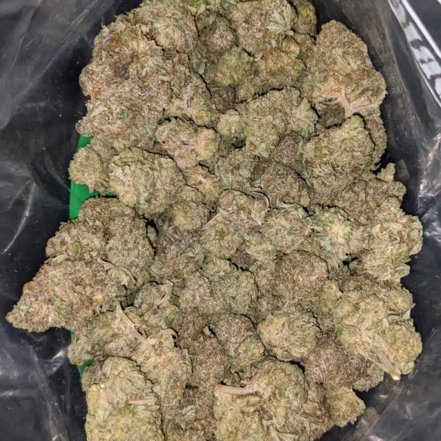 dank star 1 I $ 71 Oz - Dank Star