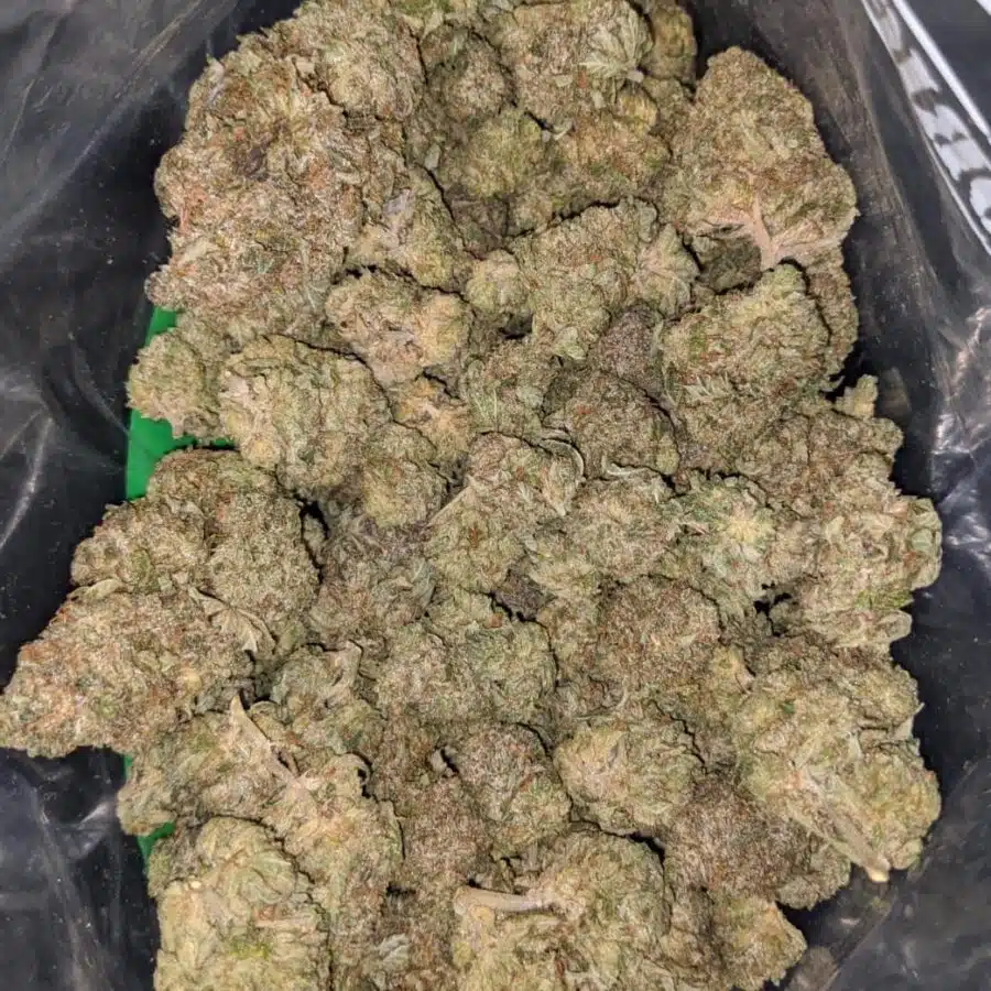 dank star 2 I $ 71 Oz - Dank Star
