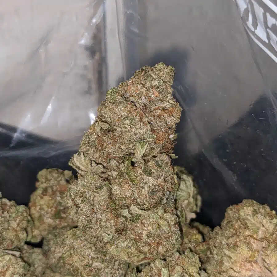 dank star 3 I $ 71 Oz - Dank Star