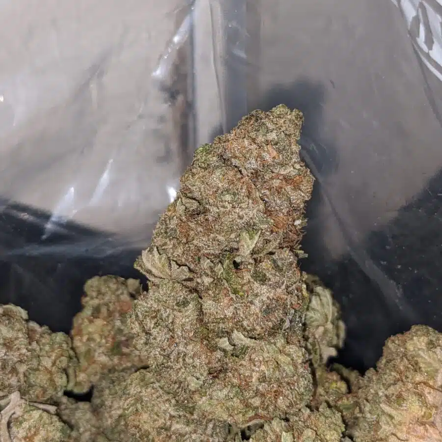dank star 4 I $ 71 Oz - Dank Star