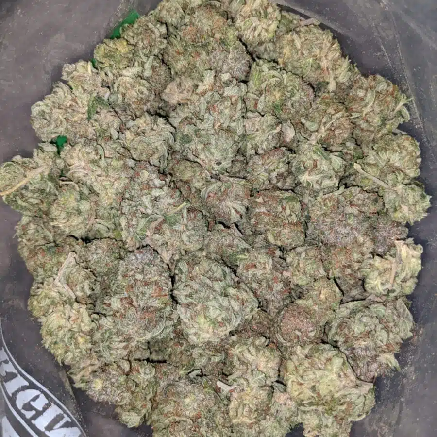 death walker 2 I $65 Oz - Death Walker