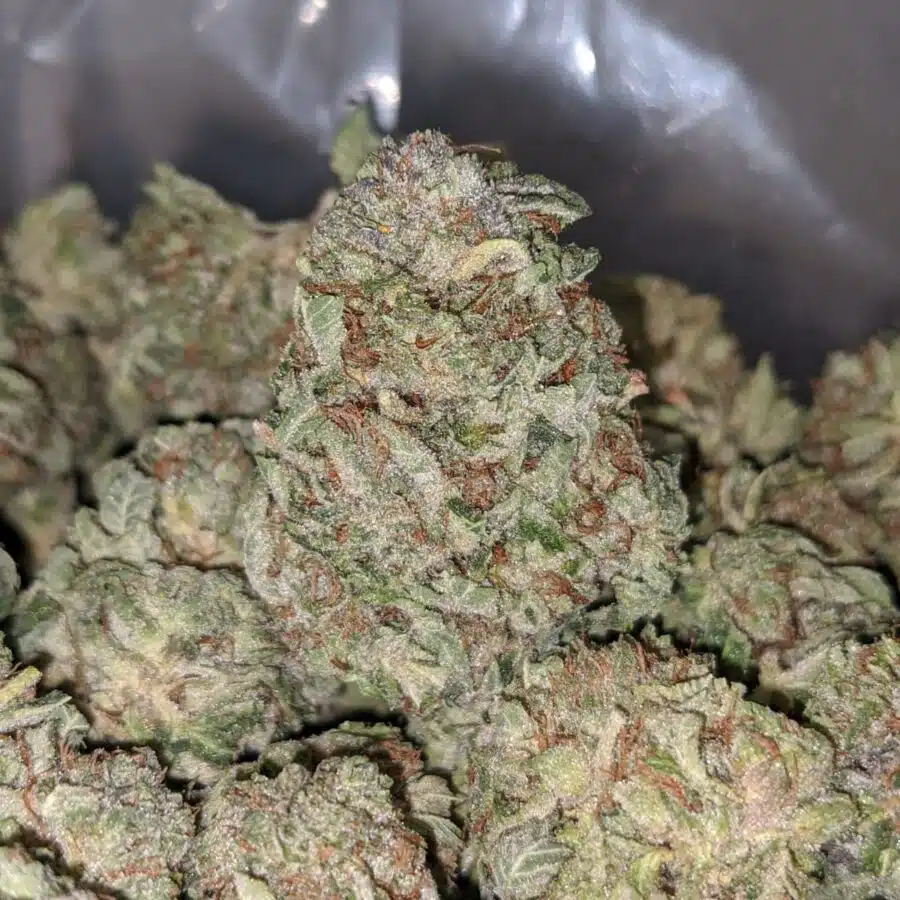 death walker 3 I $65 Oz - Death Walker