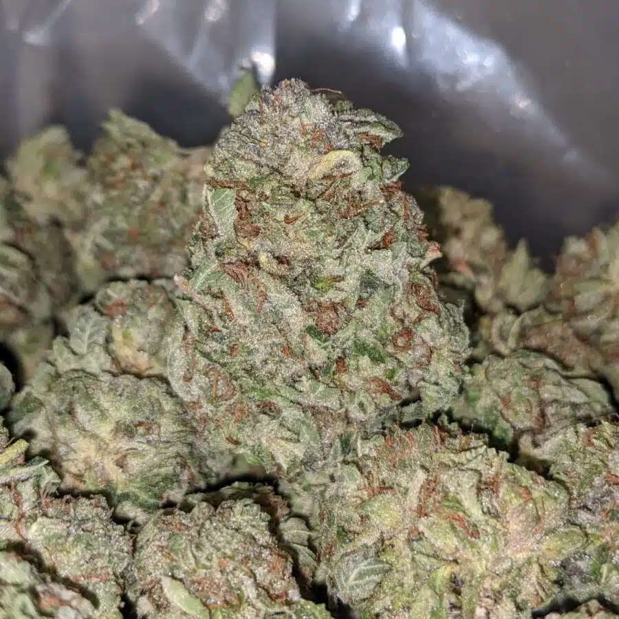 death walker 4 I $65 Oz - Death Walker