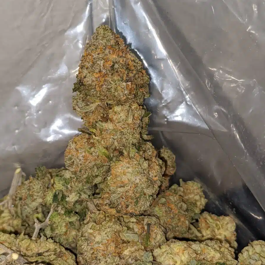 fruit gushers 3 I $ 75 Oz - Fruit Gushers