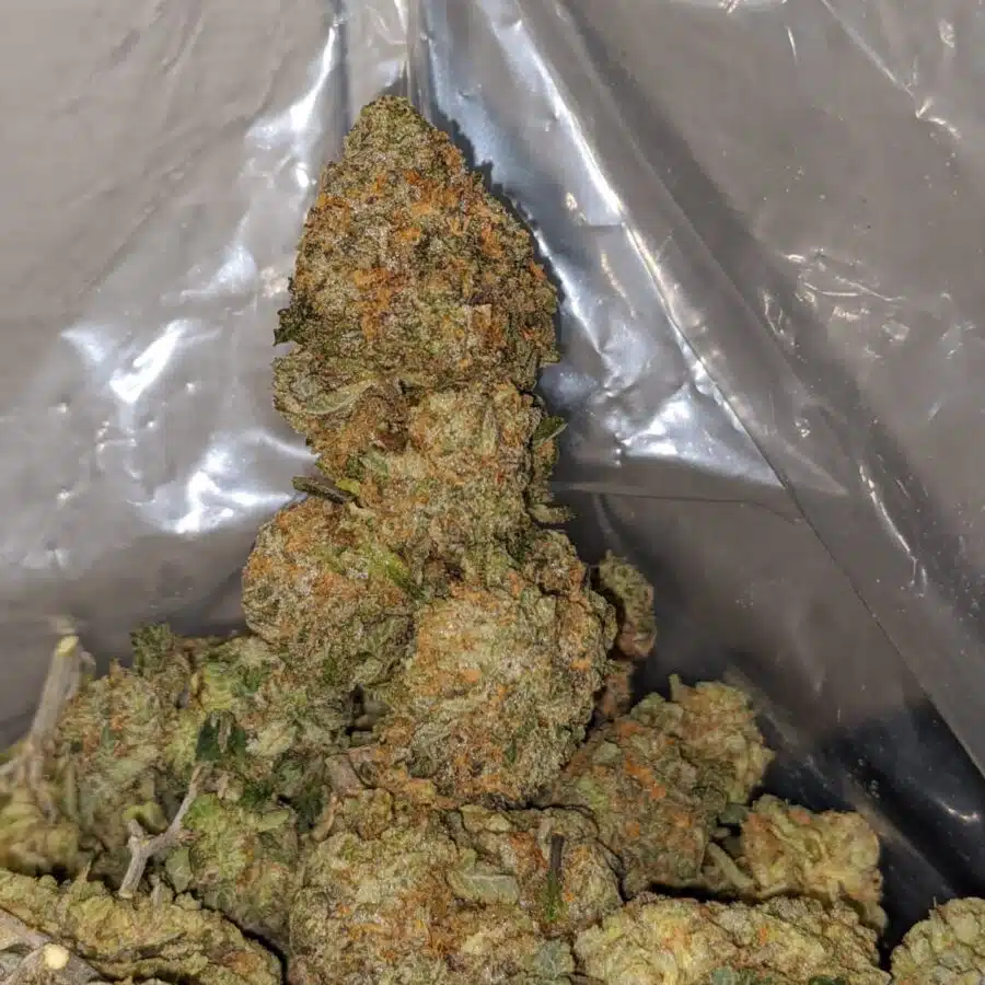 fruit gushers 4 I $ 75 Oz - Fruit Gushers