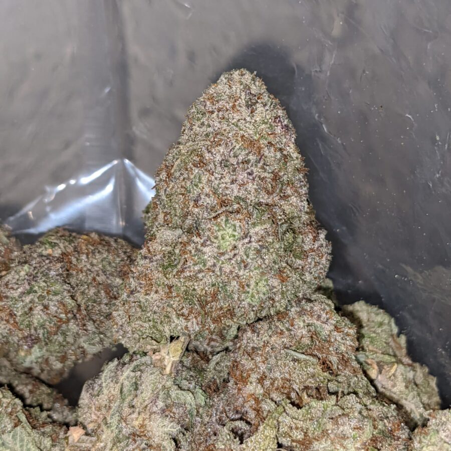 gods gift 1 I God's Gift