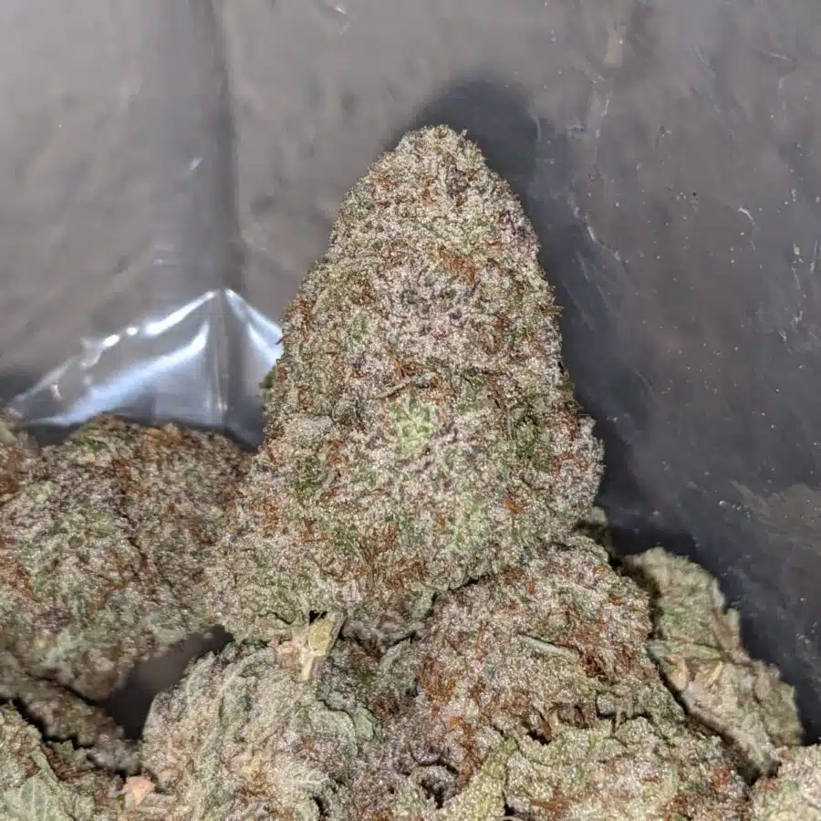 gods gift 1 I God's Gift