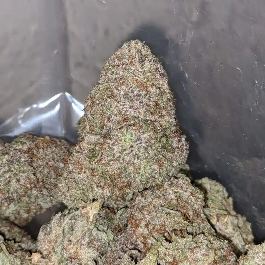 gods gift 2 I God's Gift
