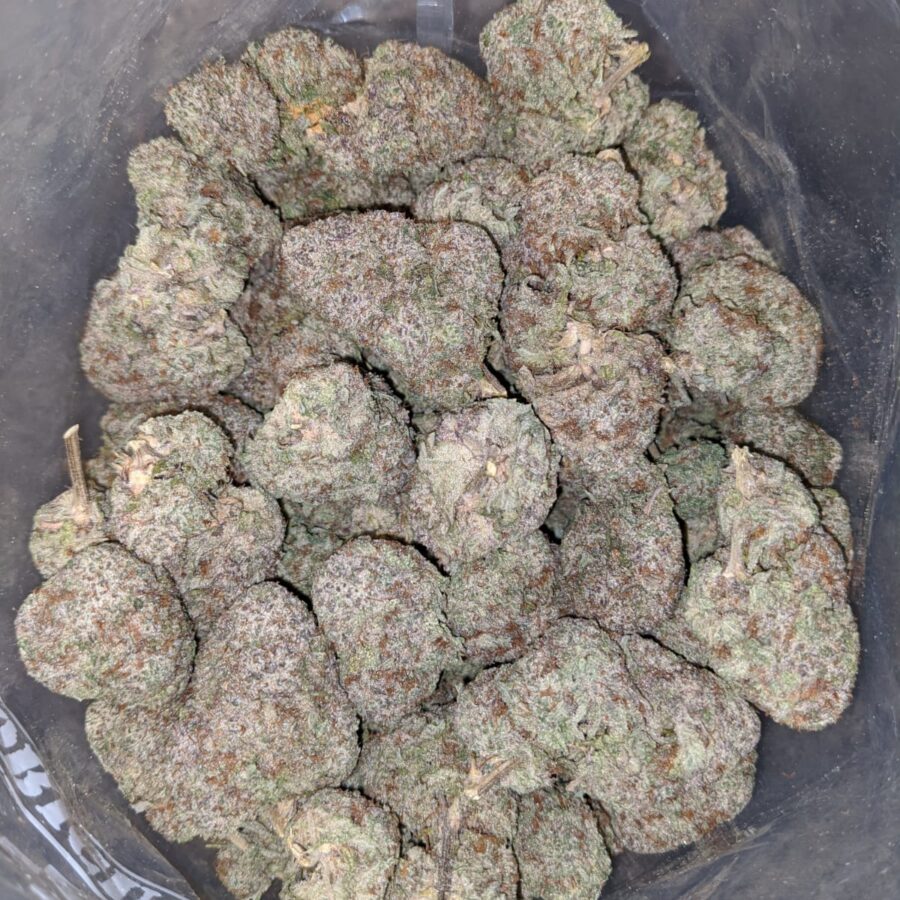 gods gift 4 I God's Gift