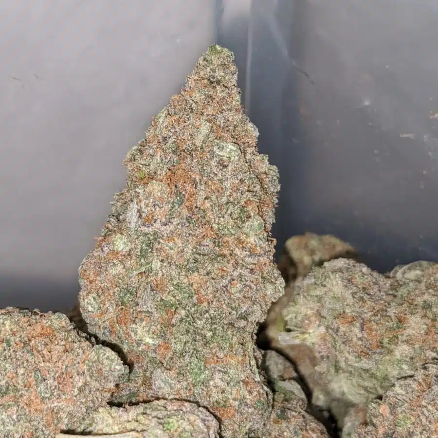 juicy berry 1 I Juicy Berry