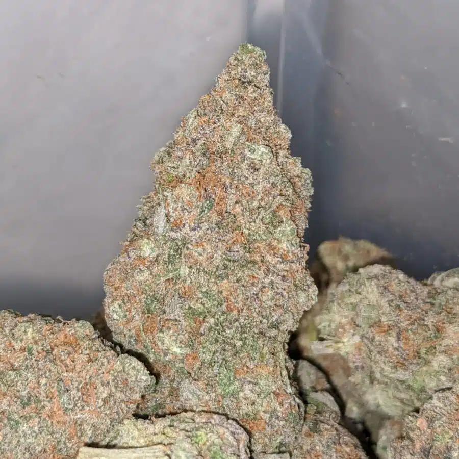 juicy berry 4 I Juicy Berry