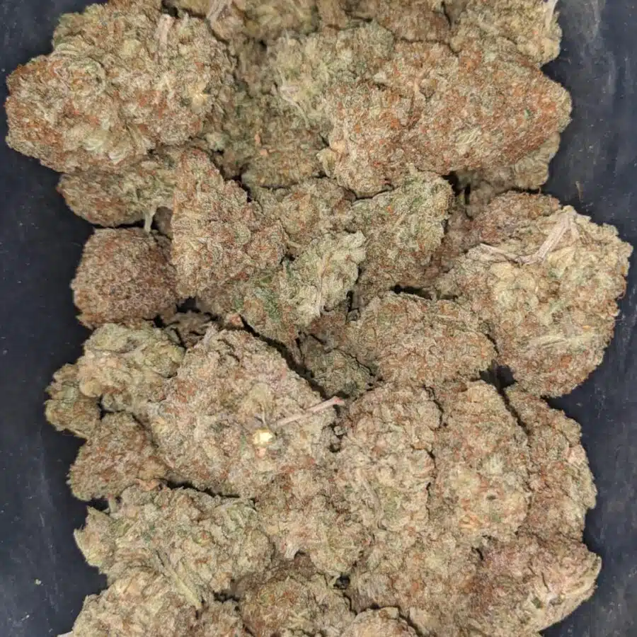 lemon crack 1 I Lemon Crack