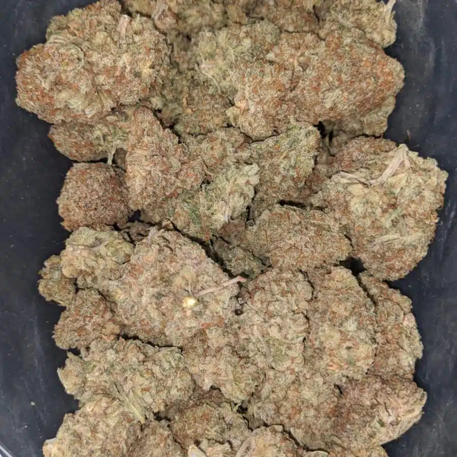 lemon crack 2 I Lemon Crack