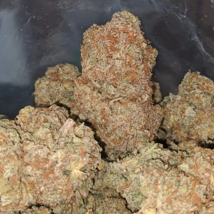 lemon crack 3 I Lemon Crack