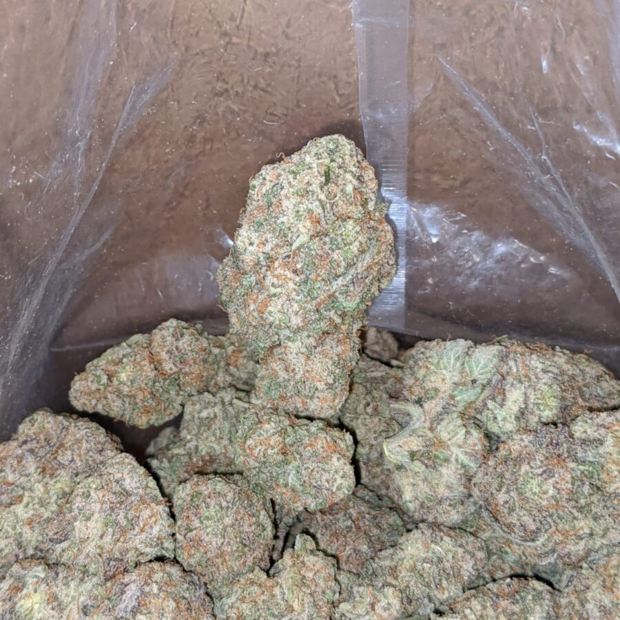 mac 10 1 1 I Miracle Alien Cookies #10