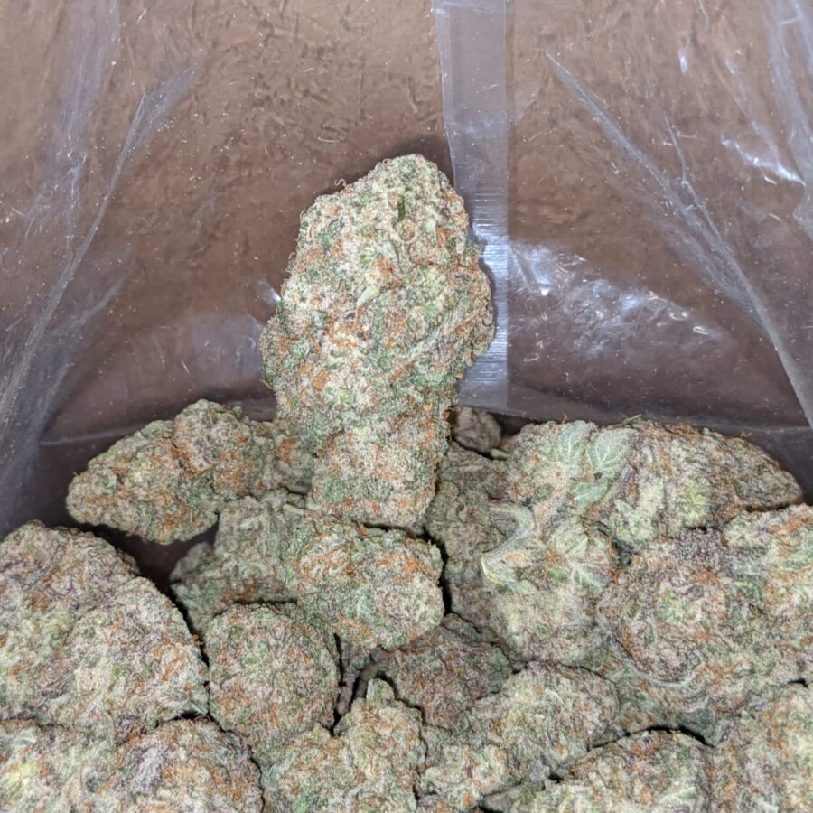 mac 10 2 1 I Miracle Alien Cookies #10