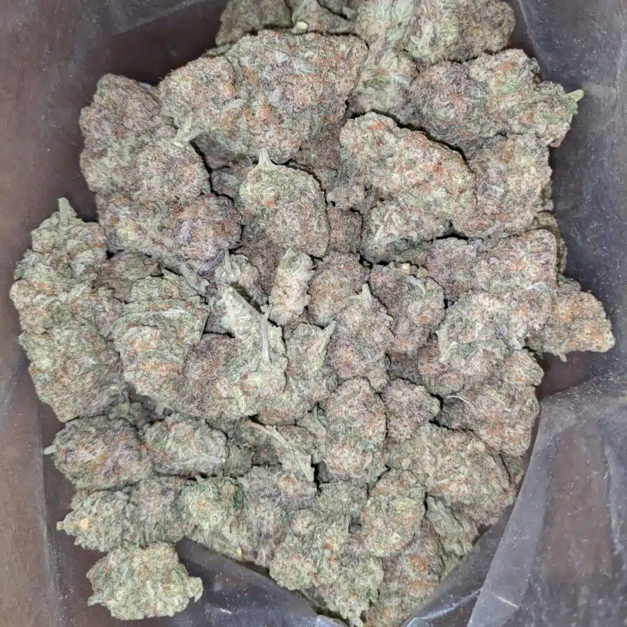 mac 10 3 1 I Miracle Alien Cookies #10