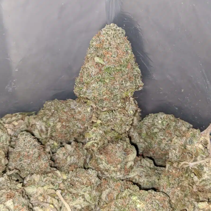 peaches and cream 4 I $ 68 Oz - Peaches & Cream