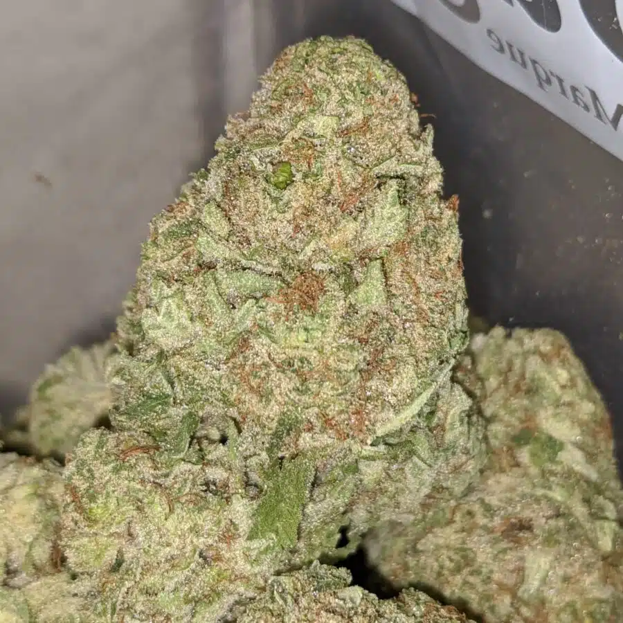 pineapple haze 1 I Pineapple Haze