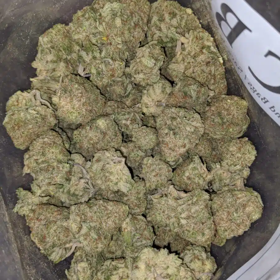 pineapple haze 3 I Pineapple Haze