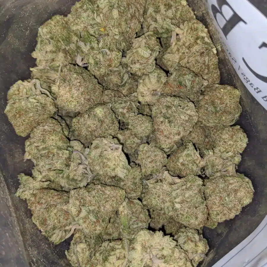 pineapple haze 4 I Pineapple Haze