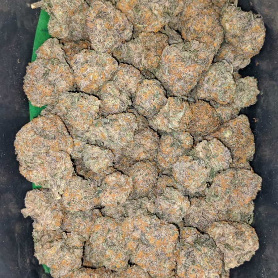 platinum girl scout cookies 1 I Platinum Girl Scout Cookies