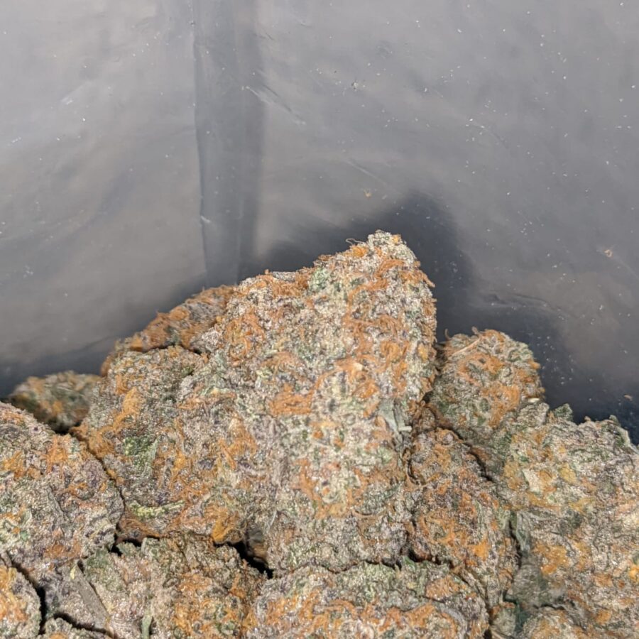 platinum girl scout cookies 3 I Platinum Girl Scout Cookies
