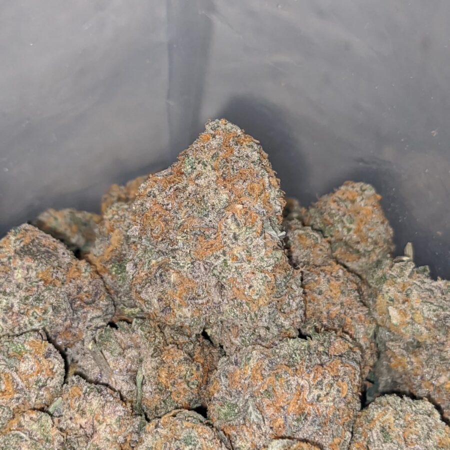 platinum girl scout cookies 4 I Platinum Girl Scout Cookies