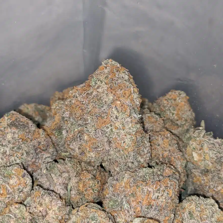 platinum girl scout cookies 4 I Platinum Girl Scout Cookies