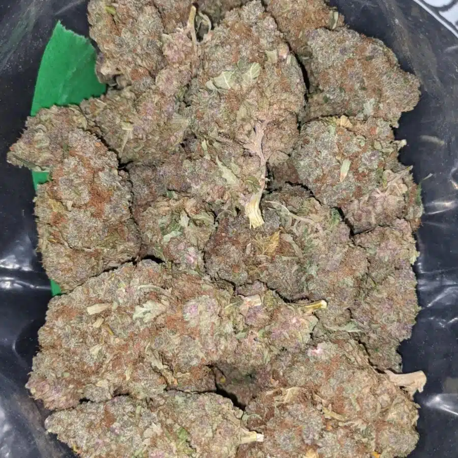 purple urkle 1 I $ 68 Oz - Purple Urkle