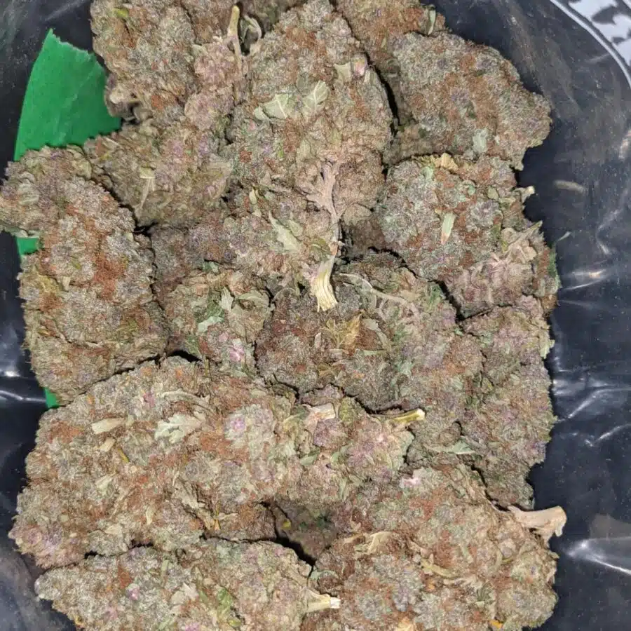 purple urkle 2 I $ 68 Oz - Purple Urkle