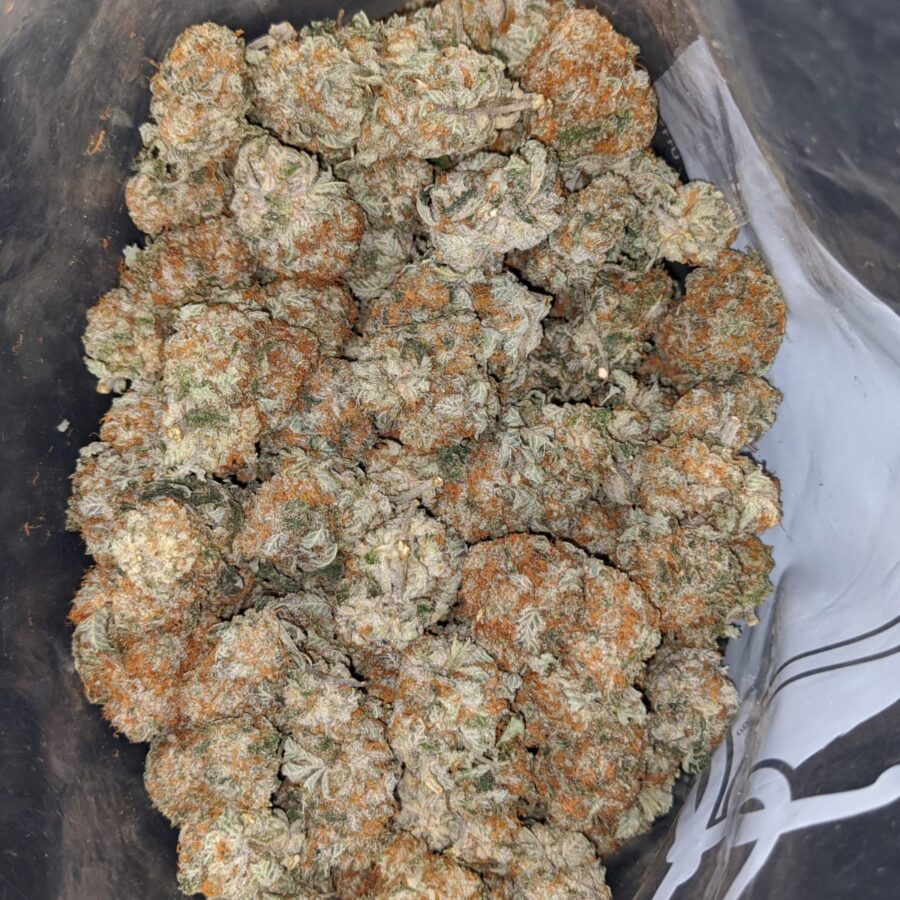 quantum kush 1 I Quantum Kush
