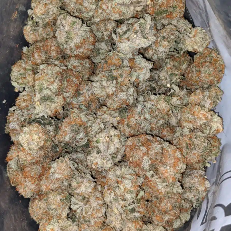 quantum kush 5 I Quantum Kush