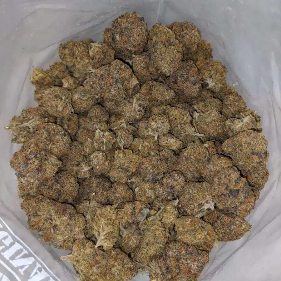 40 myster I $109 Oz - Agent Orange