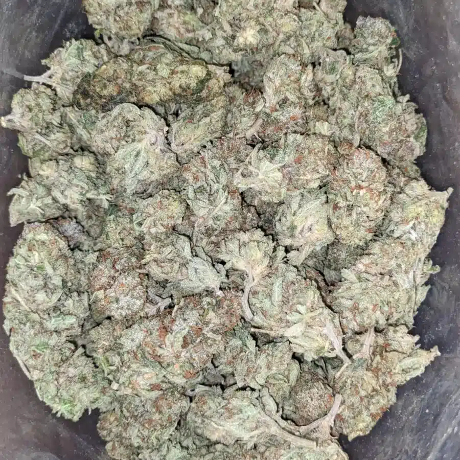 $44oz Gorilla Glue #4