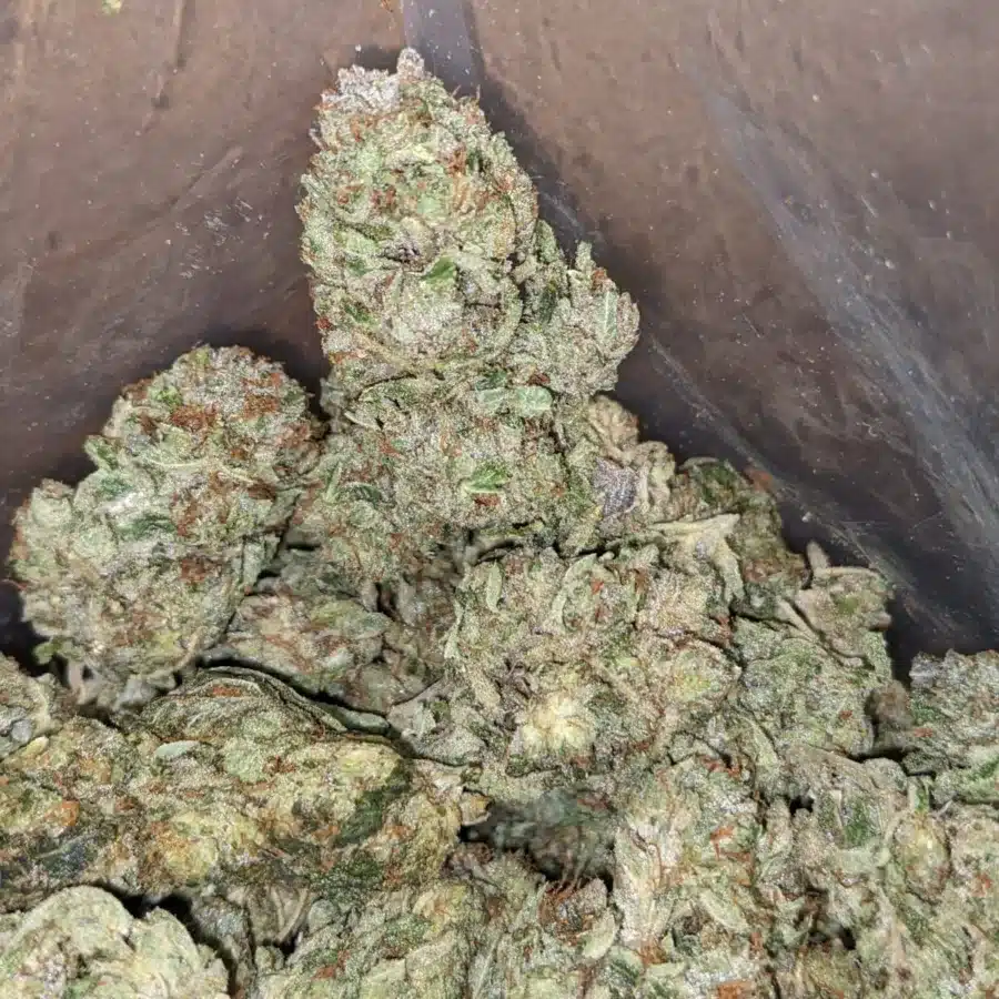 44 Gorilla Glue 4 3 I Tony's Tuna