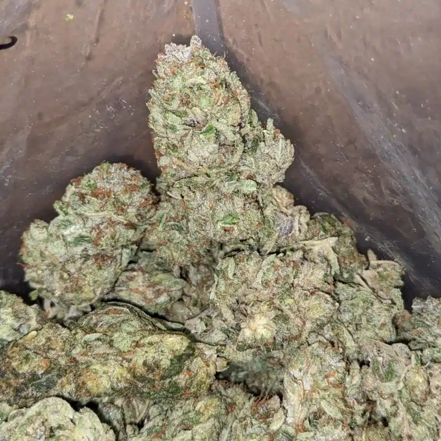 44 Gorilla Glue 4 4 I Tony's Tuna