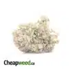 Black Gas 29.23% THC