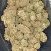 Bubblegum Kush