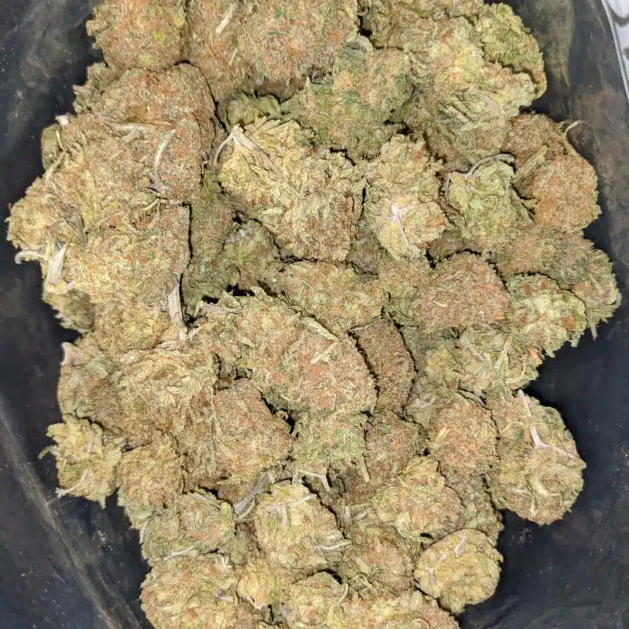 Bubblegum Kush