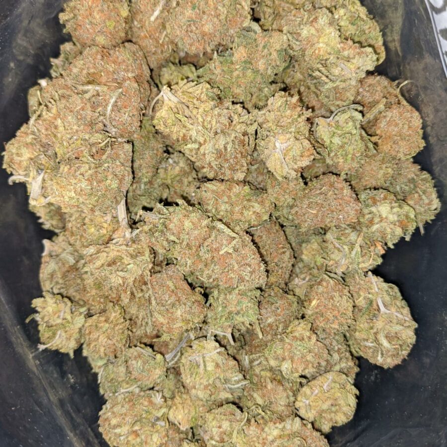 BUBBLEGUM KUSH 2 I Bubblegum Kush