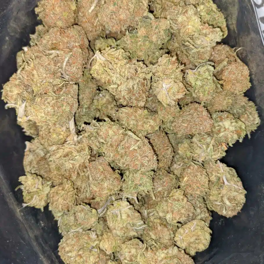 Alternative view of Bubblegum Kush