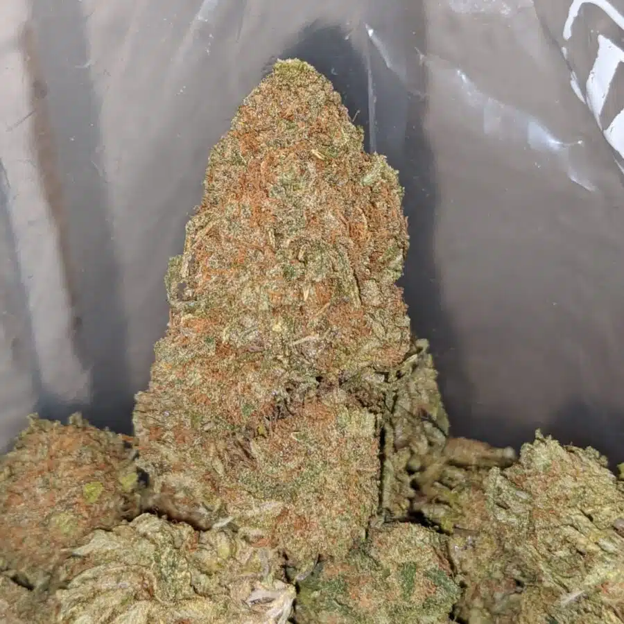 BUBBLEGUM KUSH 3 I Bubblegum Kush