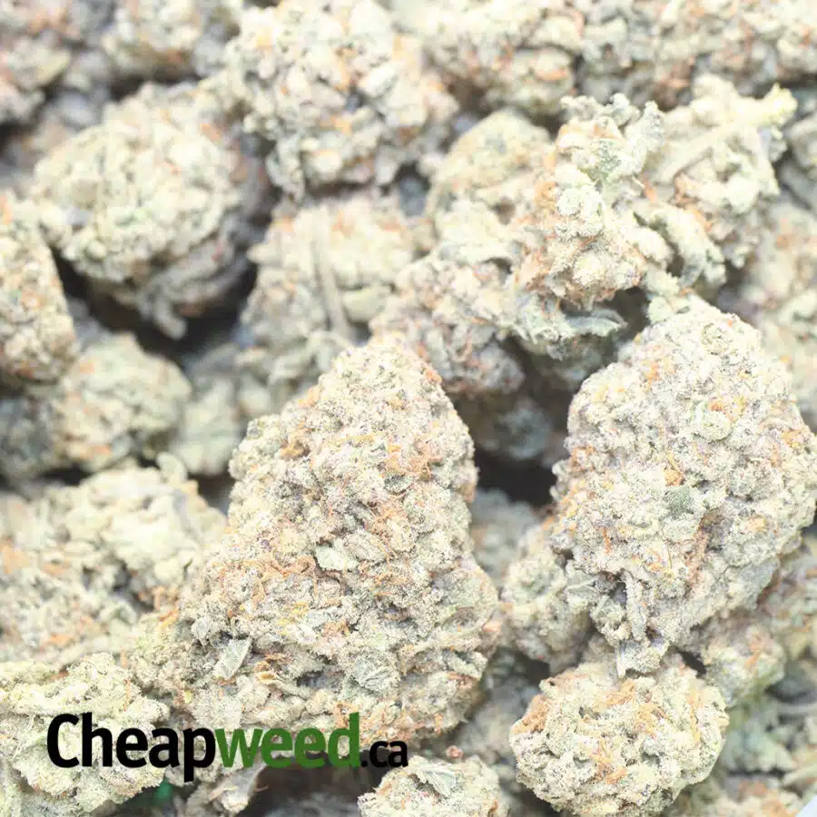 Crunch Berry - Image 3