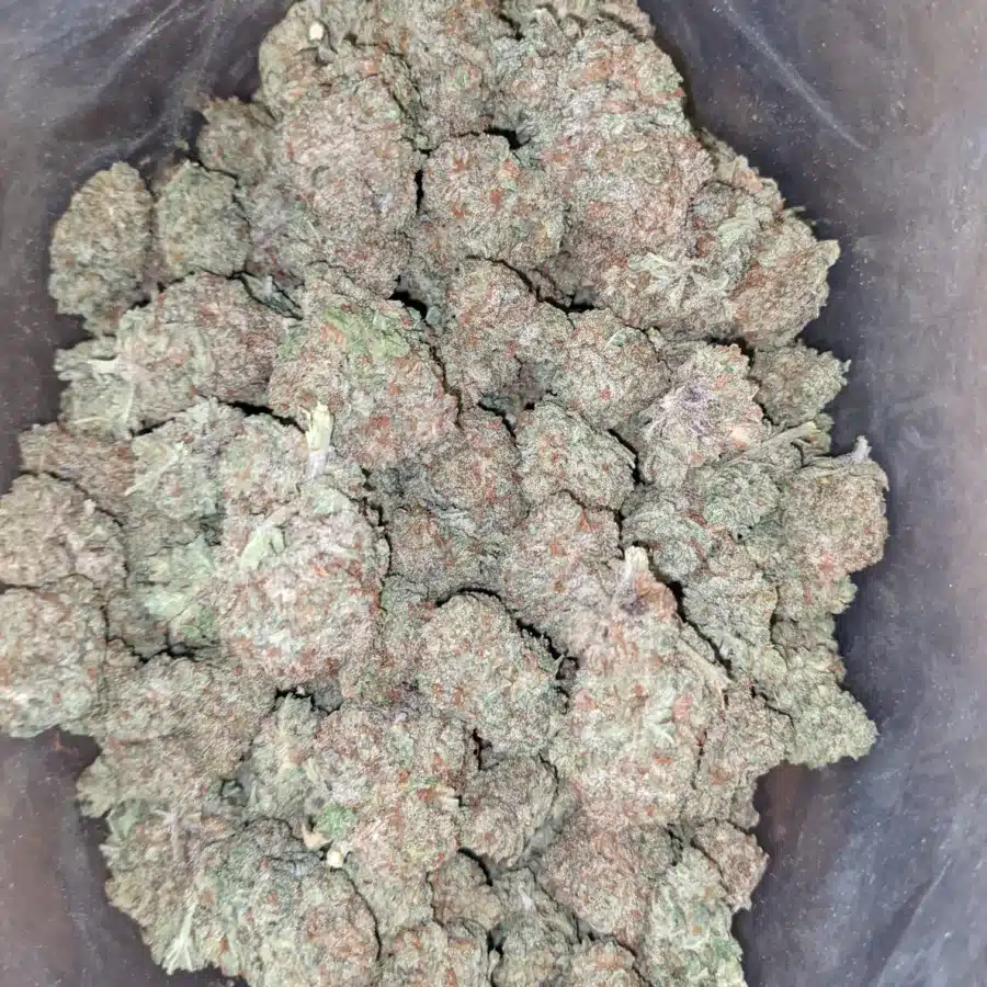 Grapefruit haze 2 I Grapefruit Haze