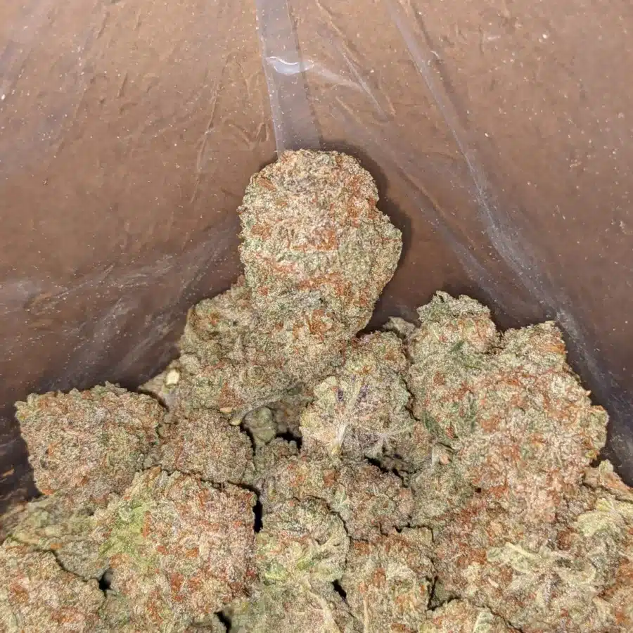 Grapefruit haze 3 I Grapefruit Haze